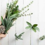 Ritme Hidup yang Lebih Manusiawi