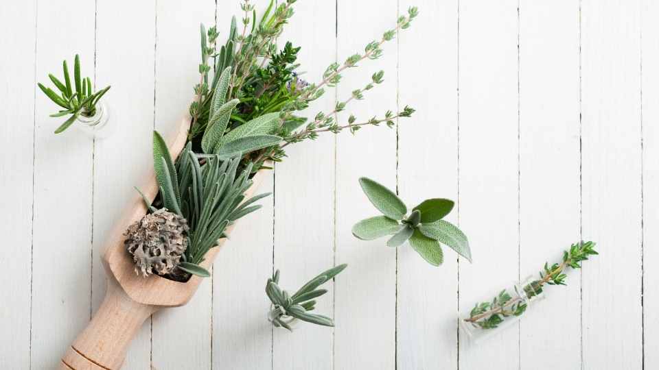 Ritme Hidup yang Lebih Manusiawi